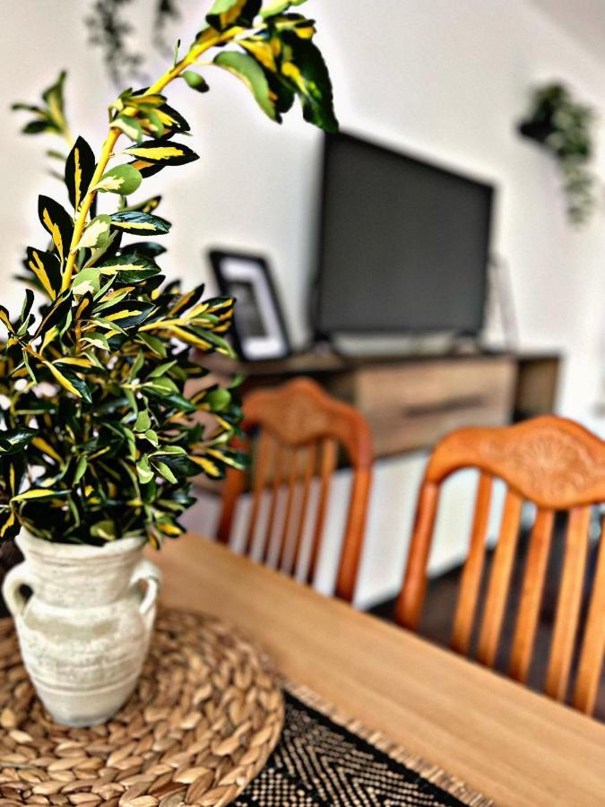 Apartment Villa Angelina, 70M From The Beach, Free Parking Novigrad Istria Exterior foto